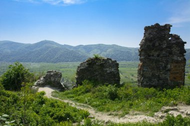 Khust şehir (Drakula Şatosu) kale antik kalıntıları. bir savunma işlevinin uygulandığı ve birçok savaşta önemli bir rol oynamıştır bir büyük ve güçlü kalesi. Ukrayna, Europe