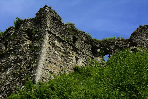 Ancient ruins of the castle of the town of Khust (Dracula Castle). a huge and powerful castle that performed a defensive function and played an important role in many battles. Western Ukraine, Europe