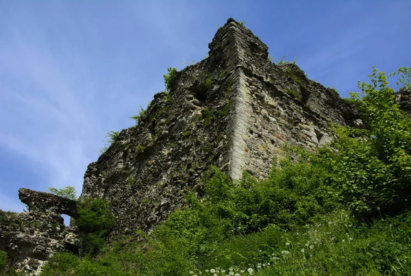 Ruines Anciennes Château Ville Khust Château Dracula Château Immense Puissant — Photo