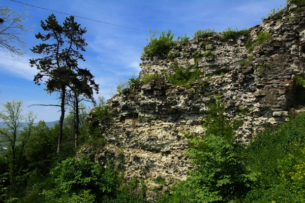 Khust Şehir Drakula Şatosu Kale Antik Kalıntıları Bir Savunma Işlevinin — Stok fotoğraf