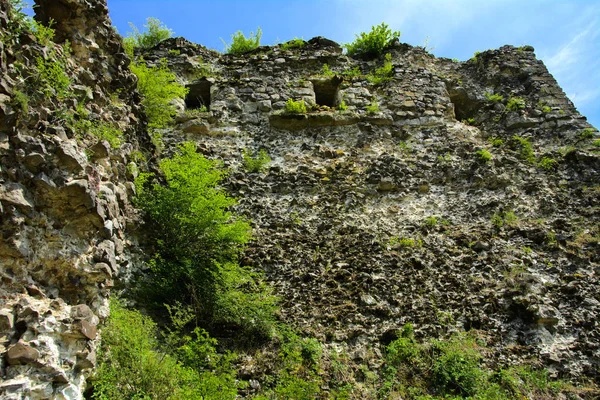 Oude Ruïnes Van Het Kasteel Van Stad Van Khust Dracula — Stockfoto