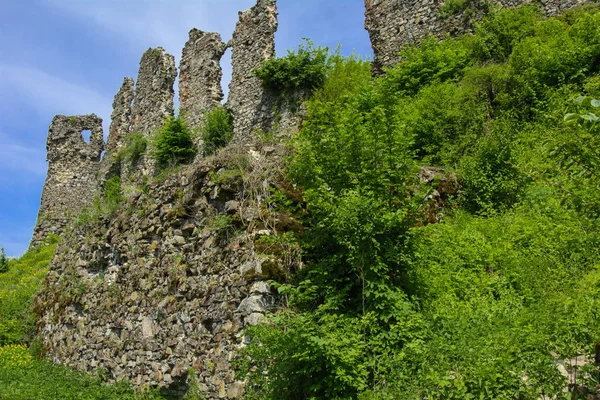 Starożytne Ruiny Zamku Miasta Chust Zamek Drakuli Wielki Potężny Zamek — Zdjęcie stockowe