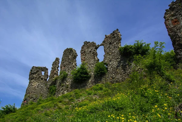 Ruínas Antigas Castelo Cidade Khust Castelo Drácula Castelo Enorme Poderoso — Fotografia de Stock