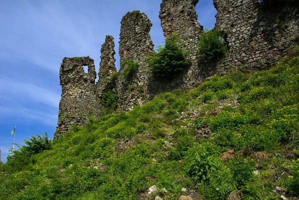 Khust 镇城堡的古遗址 德古拉城堡 一个巨大而强大的城堡 它发挥了防御功能 在许多战役中扮演了重要角色 西部乌克兰 — 图库照片