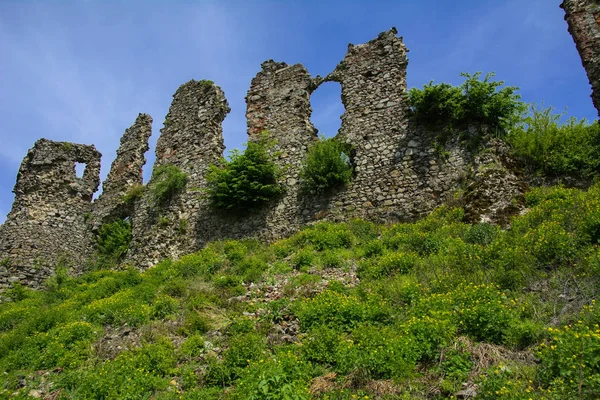 Ruínas Antigas Castelo Cidade Khust Castelo Drácula Castelo Enorme Poderoso — Fotografia de Stock