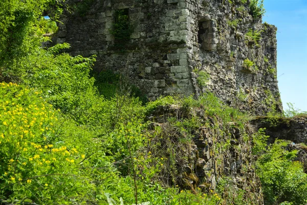 Starożytne Ruiny Zamku Miasta Chust Zamek Drakuli Wielki Potężny Zamek — Zdjęcie stockowe