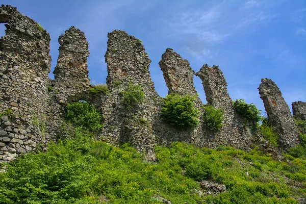 Khust 镇城堡的古遗址 德古拉城堡 一个巨大而强大的城堡 它发挥了防御功能 在许多战役中扮演了重要角色 西部乌克兰 — 图库照片