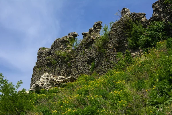 Ruines Anciennes Château Ville Khust Château Dracula Château Immense Puissant — Photo