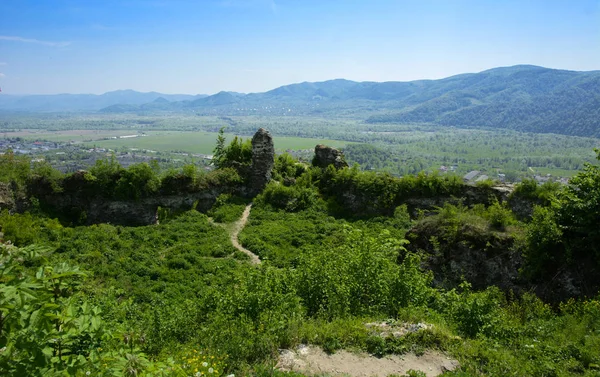 Ruines Anciennes Château Ville Khust Château Dracula Château Immense Puissant — Photo