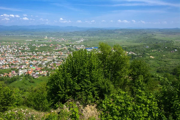 Vista Exaltada Colorida Vista Pássaro Para Casas Residência — Fotografia de Stock