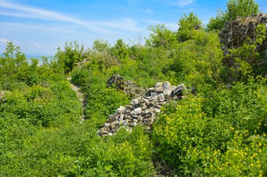 Khust şehir (Drakula Şatosu) kale antik kalıntıları. bir savunma işlevinin uygulandığı ve birçok savaşta önemli bir rol oynamıştır bir büyük ve güçlü kalesi. Ukrayna, Europe