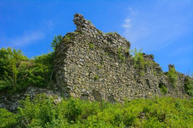 Khust şehir (Drakula Şatosu) kale antik kalıntıları. bir savunma işlevinin uygulandığı ve birçok savaşta önemli bir rol oynamıştır bir büyük ve güçlü kalesi. Ukrayna, Europe