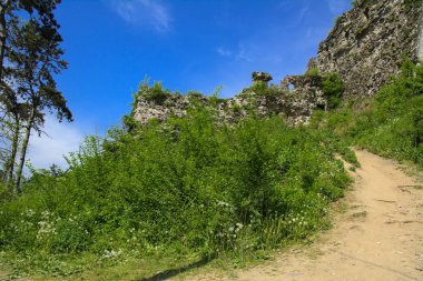 Khust şehir (Drakula Şatosu) kale antik kalıntıları. bir savunma işlevinin uygulandığı ve birçok savaşta önemli bir rol oynamıştır bir büyük ve güçlü kalesi. Ukrayna, Europe