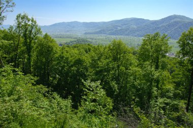 Yüce görünümünden renkli bir kuş bakışı için residentia içinde evler