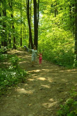 Boş bir arka planı onların içinden geçen güneşin uzun ağaçlar çevrili yoğun bir yeşil orman yolunda çakıl.