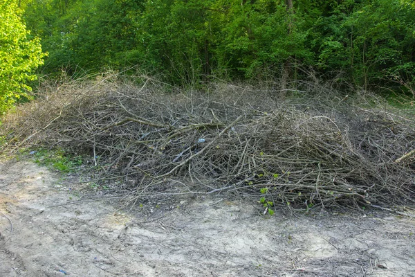 Pile Brushwood Wood Stacked Green Grass Background Green Forest Outdoors — Stock Photo, Image