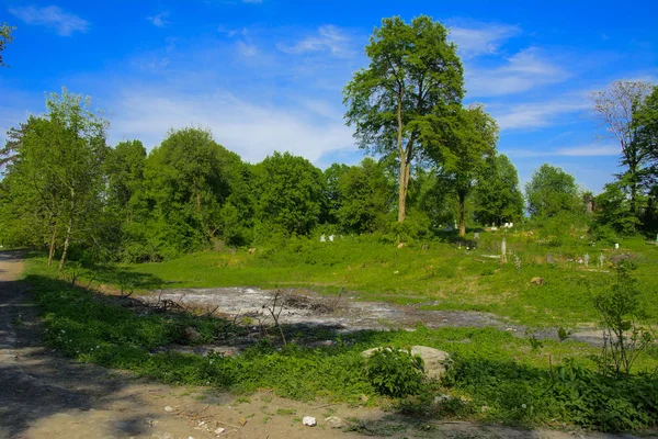 Old Abandoned Cemetery Crosses Graves Overgrown Tall Grass Backdrop Tall — Stock Photo, Image