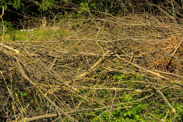 Stos Drewna Okrągłego Drobnego Chrustu Ułożone Zielonej Trawie Tle Zielonego — Zdjęcie stockowe