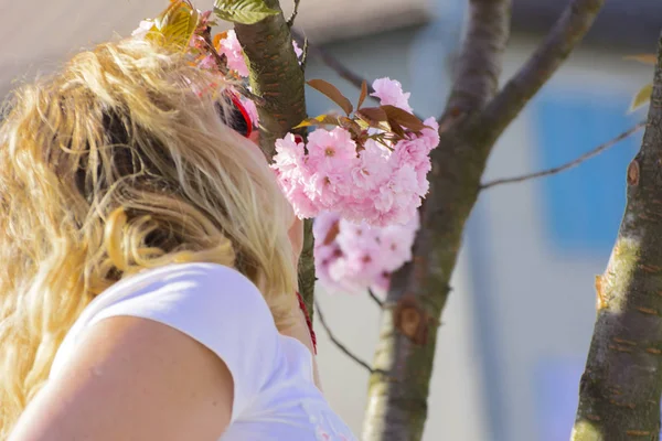 Woman and cherry blossom or Sakura flower on a tree branch against a blue sky background. Japanese cherry. Shallow depth of field. Focus on the center of a flower still life