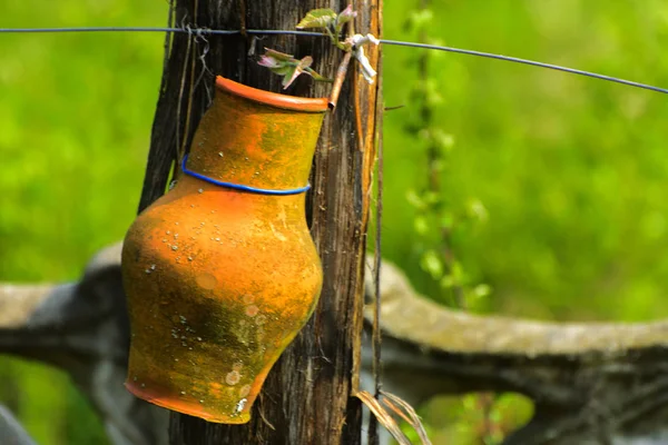 Ancient Clay Village Jug Wooden Pillar Old Ukrainian Household Utensils — Stock Photo, Image