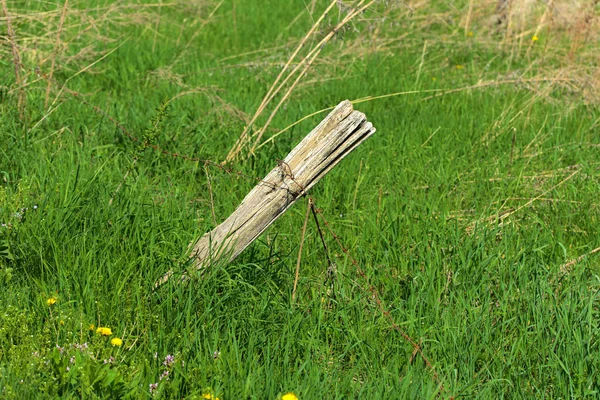Die Alte Klapprige Holzsäule Des Zauns Und Rostiger Stacheldraht Darauf — Stockfoto