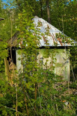 Yoğun bir orman ortasında Sovyetler Birliğinin kez terk edilmiş bir sanatoryum kalıntıları. Yıkım ve vandalizm. Kırık inşaat taş inşaat. Bina ormanının içinde kaybolur