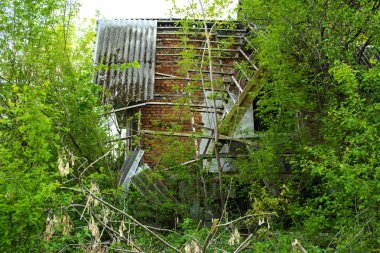 Yoğun bir orman ortasında Sovyetler Birliğinin kez terk edilmiş bir sanatoryum kalıntıları. Yıkım ve vandalizm. Kırık inşaat taş inşaat. Bina ormanının içinde kaybolur