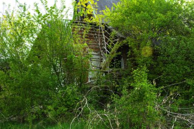 Yoğun bir orman ortasında Sovyetler Birliğinin kez terk edilmiş bir sanatoryum kalıntıları. Yıkım ve vandalizm. Kırık inşaat taş inşaat. Bina ormanının içinde kaybolur