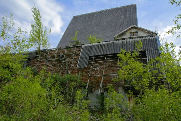 在茂密的森林中 苏联时代的一个废弃疗养院的废墟 破坏和破坏 残破的建筑石头建筑 这座建筑物在佛瑞斯中丢失了 — 图库照片