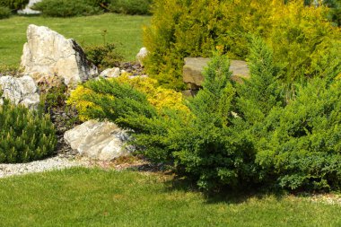 Dekoratif taş zemin ve yeşil dekoratif bush, son ve yeşil çim geniş yürüyüş yolları. Küçük bir bahçe tasarım anlayışı ile.