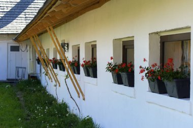 Beyaz Saray duvarlarının denizlik üzerinde bir sıra olarak plastik tencere dekoratif kırmızı çiçekler standı.