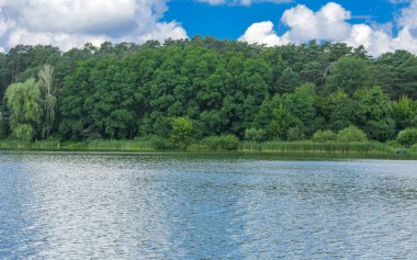 Manzara çevrili ağaçlar ve kıyı ve mavi gökyüzünde bulutlar karşı uzak ufuk sazlık nehir ortasından güzel bir görüntüsü. Yansıma, su, Turizm hedef