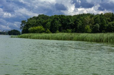 Manzara çevrili ağaçlar ve kıyı ve mavi gökyüzünde bulutlar karşı uzak ufuk sazlık nehir ortasından güzel bir görüntüsü. Yansıma, su, Turizm hedef