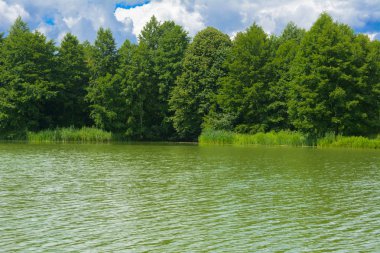 Manzara çevrili ağaçlar ve kıyı ve mavi gökyüzünde bulutlar karşı uzak ufuk sazlık nehir ortasından güzel bir görüntüsü. Yansıma, su, Turizm hedef