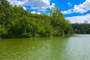 Manzara çevrili ağaçlar ve kıyı ve mavi gökyüzünde bulutlar karşı uzak ufuk sazlık nehir ortasından güzel bir görüntüsü. Yansıma, su, Turizm hedef