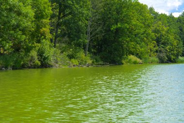 Manzara çevrili ağaçlar ve kıyı ve mavi gökyüzünde bulutlar karşı uzak ufuk sazlık nehir ortasından güzel bir görüntüsü. Yansıma, su, Turizm hedef