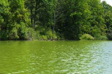 Manzara çevrili ağaçlar ve kıyı ve mavi gökyüzünde bulutlar karşı uzak ufuk sazlık nehir ortasından güzel bir görüntüsü. Yansıma, su, Turizm hedef