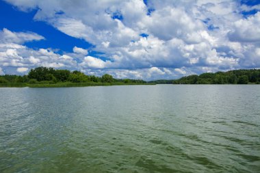 Manzara çevrili ağaçlar ve kıyı ve mavi gökyüzünde bulutlar karşı uzak ufuk sazlık nehir ortasından güzel bir görüntüsü. Yansıma, su, Turizm hedef