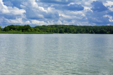 Manzara çevrili ağaçlar ve kıyı ve mavi gökyüzünde bulutlar karşı uzak ufuk sazlık nehir ortasından güzel bir görüntüsü. Yansıma, su, Turizm hedef