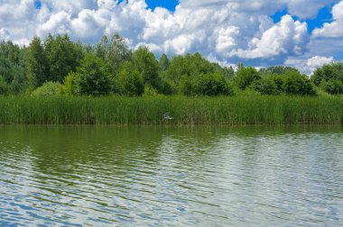Manzara çevrili ağaçlar ve kıyı ve mavi gökyüzünde bulutlar karşı uzak ufuk sazlık nehir ortasından güzel bir görüntüsü. Yansıma, su, Turizm hedef
