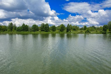 Manzara çevrili ağaçlar ve kıyı ve mavi gökyüzünde bulutlar karşı uzak ufuk sazlık nehir ortasından güzel bir görüntüsü. Yansıma, su, Turizm hedef