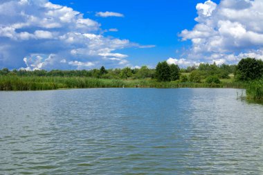 Manzara çevrili ağaçlar ve kıyı ve mavi gökyüzünde bulutlar karşı uzak ufuk sazlık nehir ortasından güzel bir görüntüsü. Yansıma, su, Turizm hedef