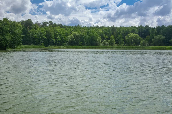 Une Belle Image Paysage Depuis Centre Rivière Entouré Arbres Roseaux — Photo