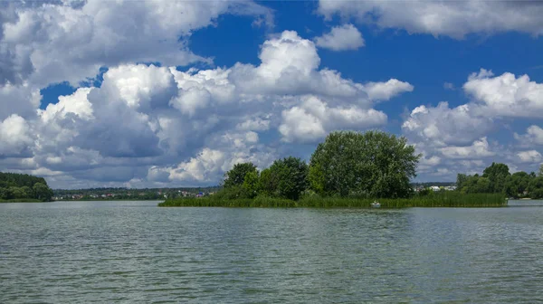 Une Belle Image Paysage Depuis Centre Rivière Entouré Arbres Roseaux — Photo