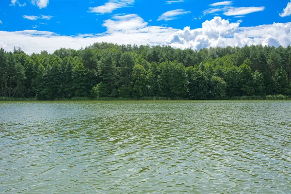 Sebuah Gambar Indah Lanskap Dari Pusat Sungai Dikelilingi Oleh Pohon — Stok Foto