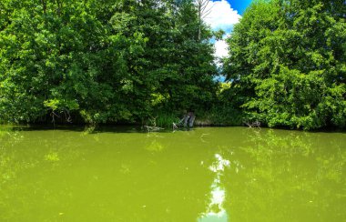 Manzara çevrili ağaçlar ve kıyı ve mavi gökyüzünde bulutlar karşı uzak ufuk sazlık nehir ortasından güzel bir görüntüsü. Yansıma, su, Turizm hedef