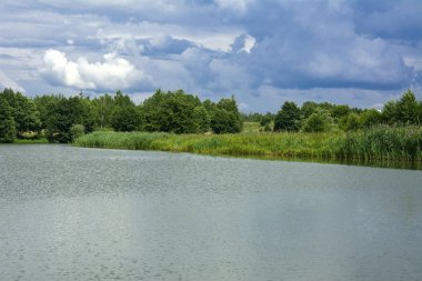 Manzara çevrili ağaçlar ve kıyı ve mavi gökyüzünde bulutlar karşı uzak ufuk sazlık nehir ortasından güzel bir görüntüsü. Yansıma, su, Turizm hedef