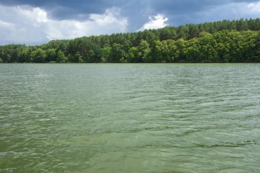 Manzara çevrili ağaçlar ve kıyı ve mavi gökyüzünde bulutlar karşı uzak ufuk sazlık nehir ortasından güzel bir görüntüsü. Yansıma, su, Turizm hedef