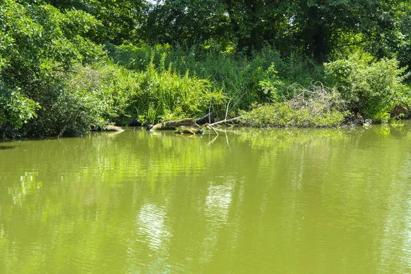 Ein Schönes Bild Der Landschaft Aus Der Mitte Des Flusses — Stockfoto