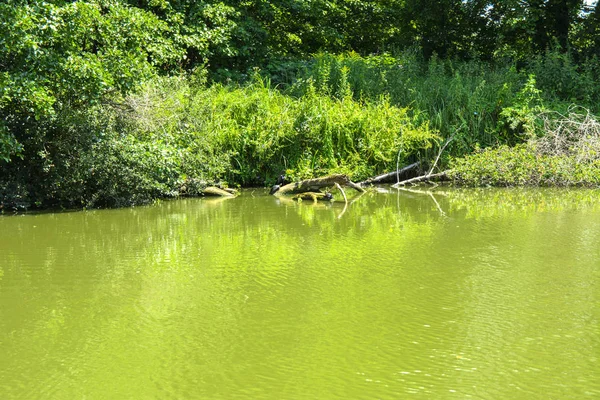 Ein Schönes Bild Der Landschaft Aus Der Mitte Des Flusses — Stockfoto